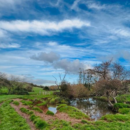 Dapps Hill Haven - Between Bristol And Bath, Both 9 Mins By Train! 凯恩舍姆 外观 照片