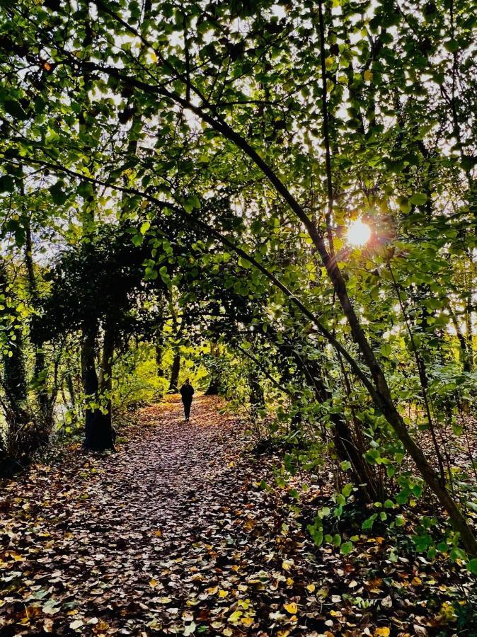 Dapps Hill Haven - Between Bristol And Bath, Both 9 Mins By Train! 凯恩舍姆 外观 照片