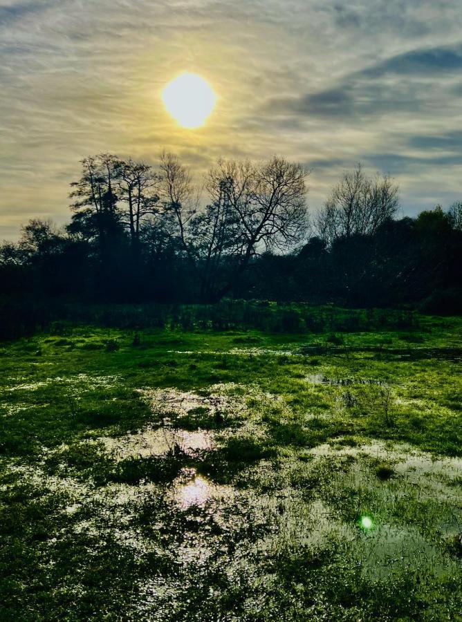 Dapps Hill Haven - Between Bristol And Bath, Both 9 Mins By Train! 凯恩舍姆 外观 照片