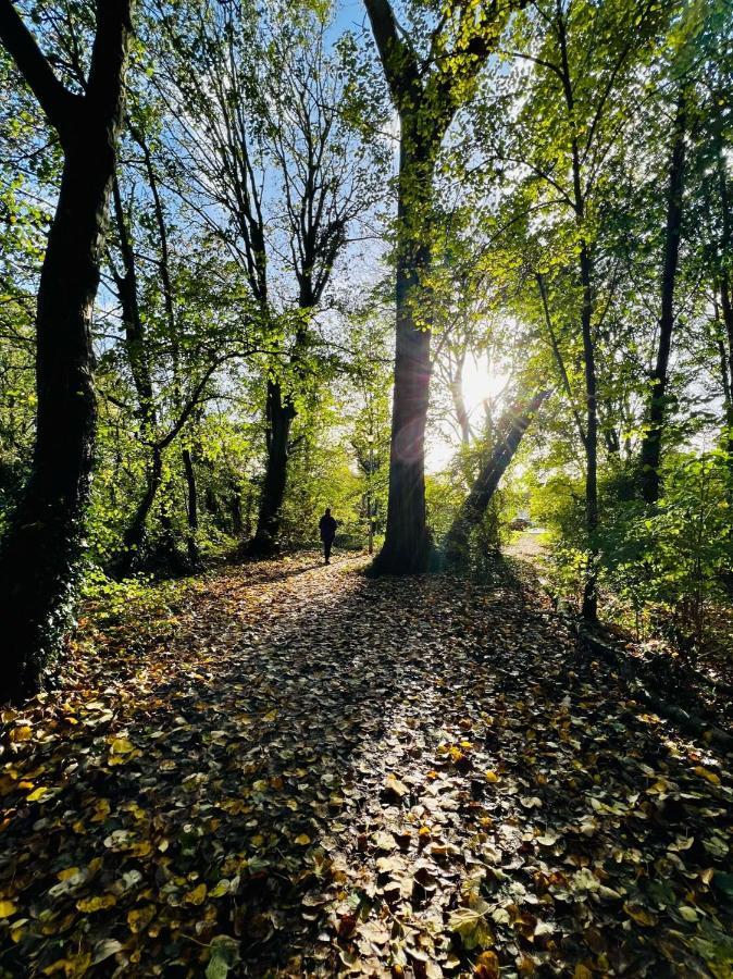 Dapps Hill Haven - Between Bristol And Bath, Both 9 Mins By Train! 凯恩舍姆 外观 照片