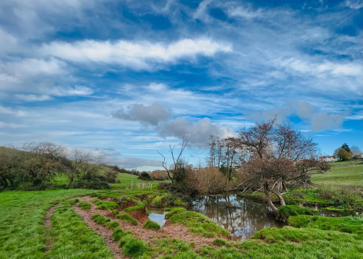Dapps Hill Haven - Between Bristol And Bath, Both 9 Mins By Train! 凯恩舍姆 外观 照片